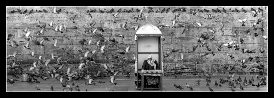 turkish woman selling bird food